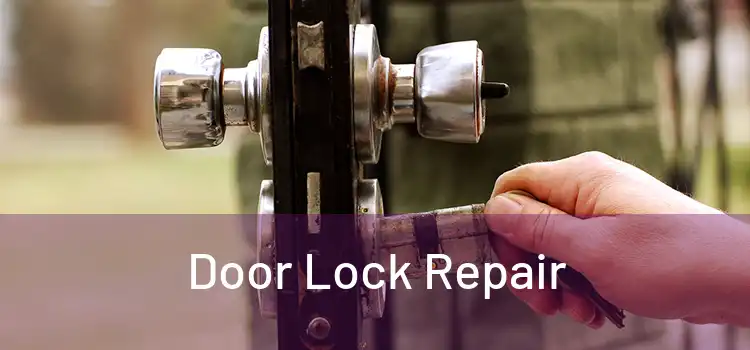 Door Lock Repair